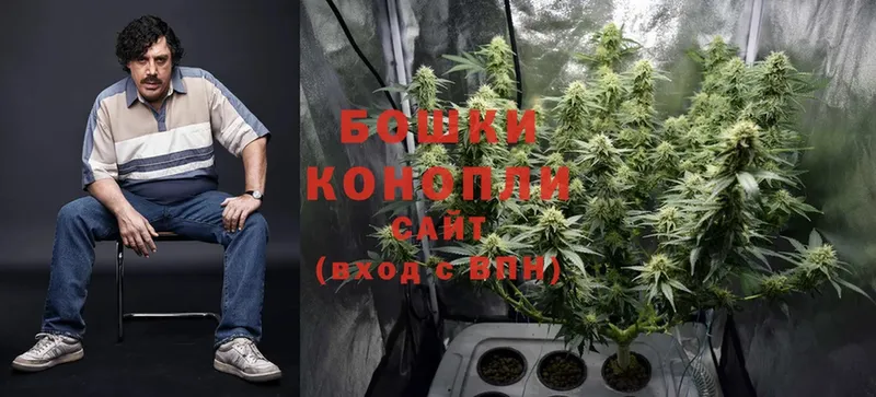 мега ТОР  где купить наркоту  Мосальск  Бошки марихуана Ganja 